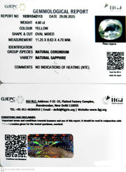 4.60/CT Natural Yellow Sapphire With Govt Lab Certificate (34410)